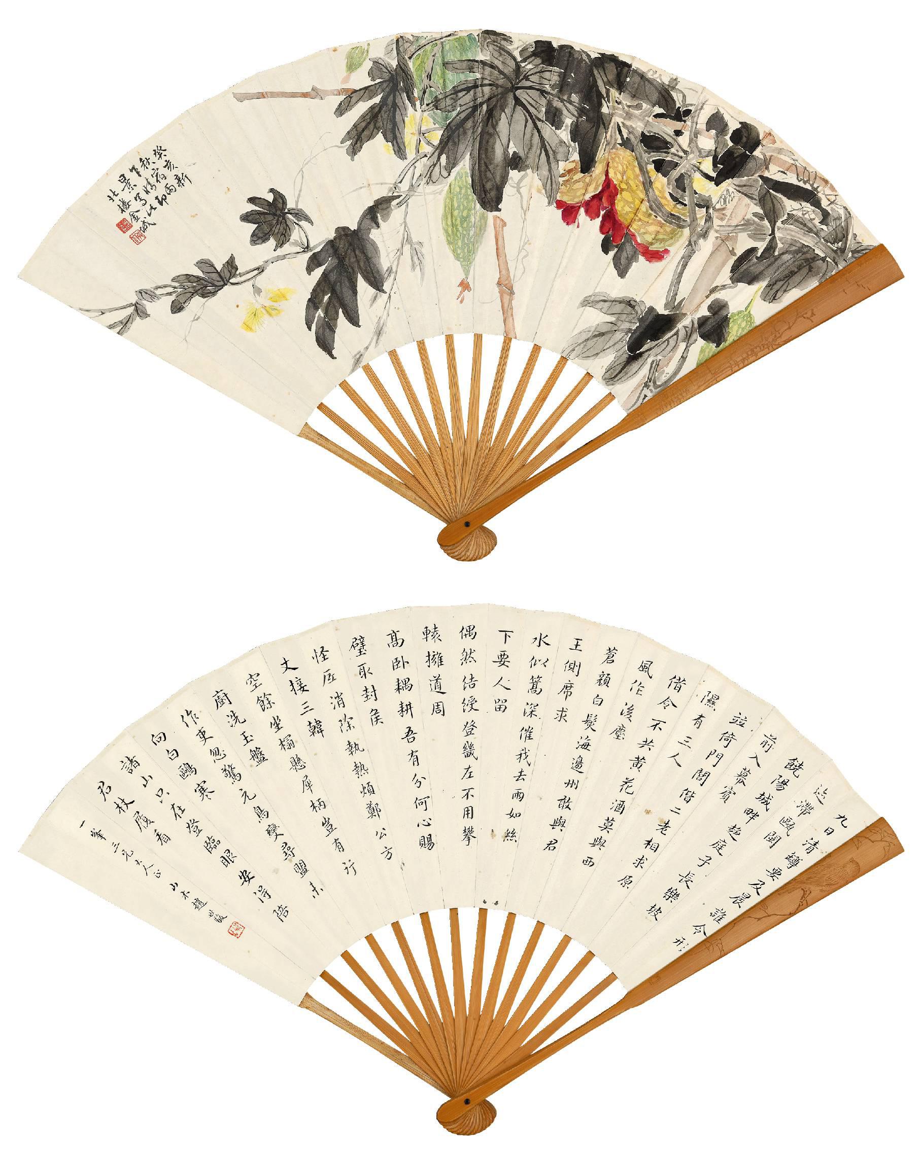 金城 锦荔枝  