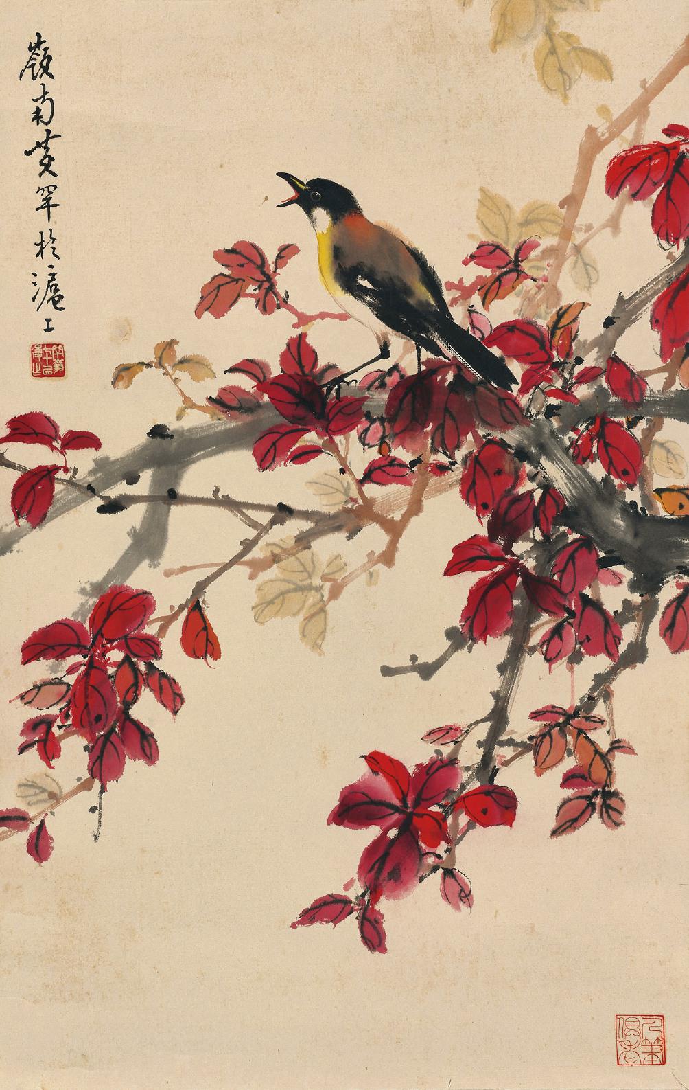 黄幻吾 红叶鹡鸰  