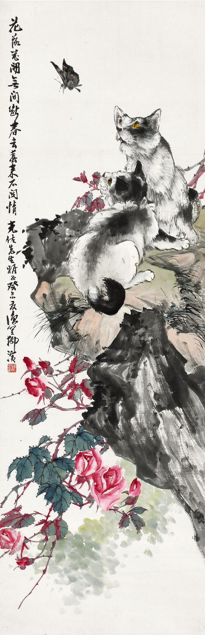 柳滨 玫瑰猫蝶  
