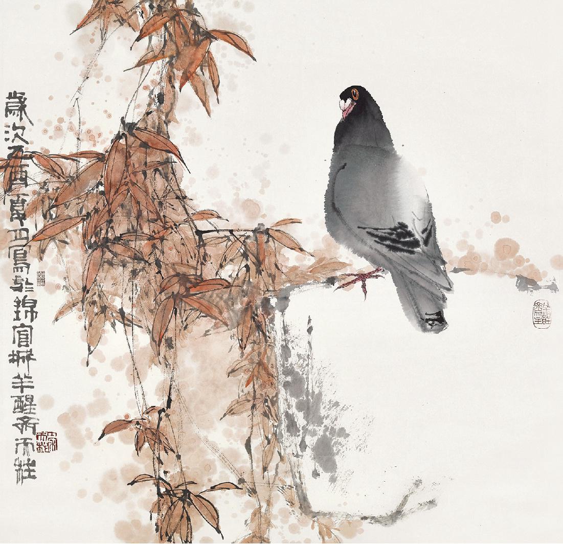 秦天柱 红叶灰鸽  